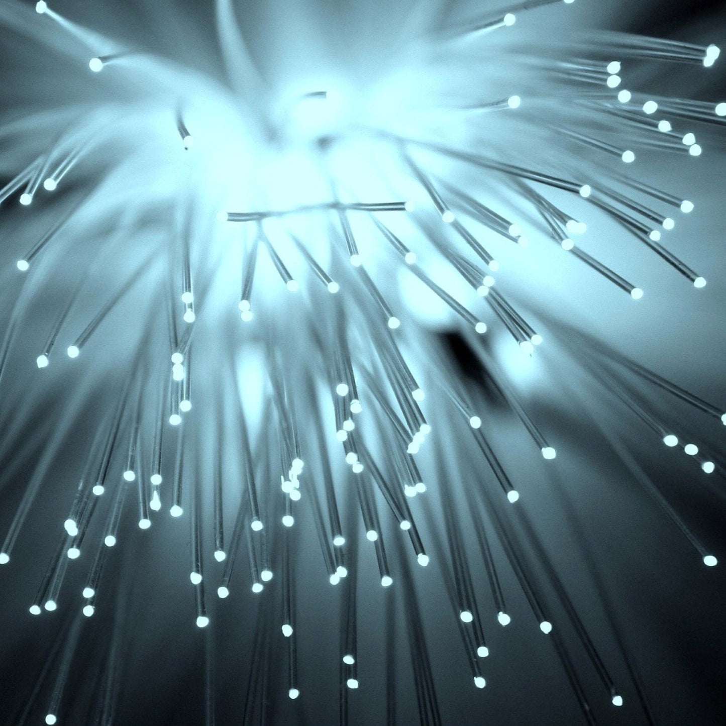 .060" Dia. Fiber Optic - 10 Ft.
