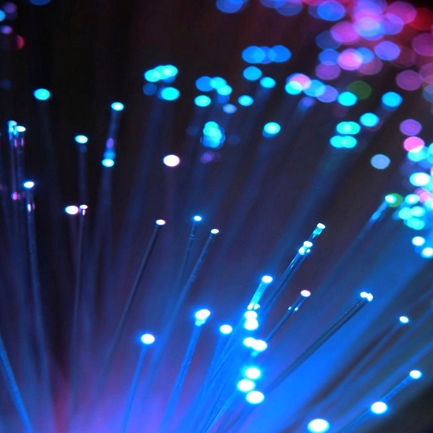 .040" Dia. Fiber Optic - 10 Ft.