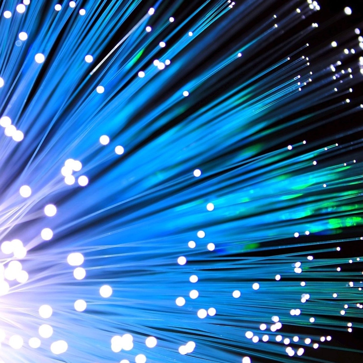 .030" Dia. Fiber Optic - 10 Ft.